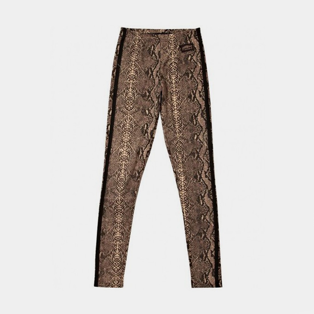 Women's Snakeskin Print Peach Skin Leggings (Plus One Size) at Amazon  Women's Clothing store